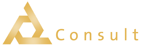 Everest Consult